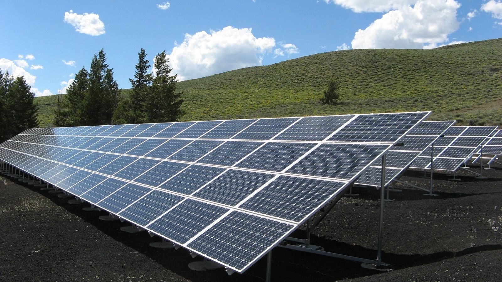 Filas de paneles fotovoltaicos en primer plano junto a una ladera verde.
