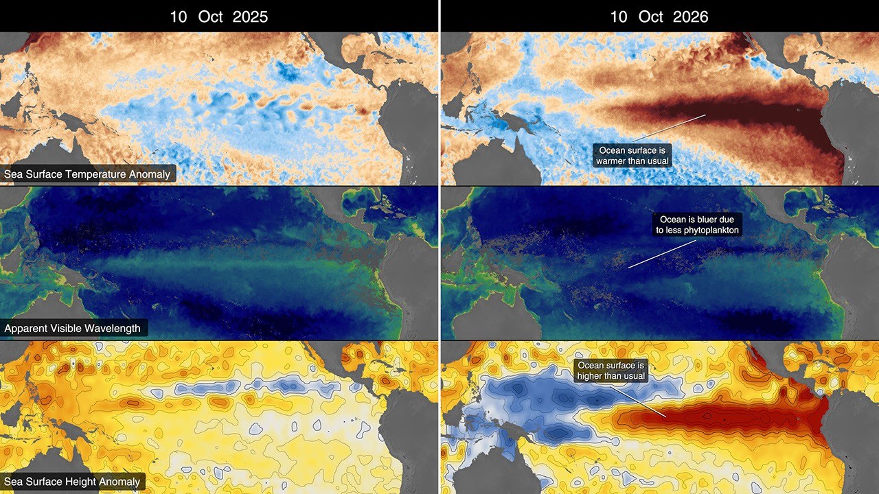 Visualización oficial de NASA de indicadores oceánicos asociados a El Niño en 2026.