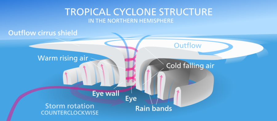 The anatomy of a hurricane